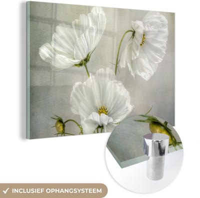 MuchoWow® Glasschilderij 120x80 cm - Schilderij acrylglas - Bloemen - Stilleven - Klaproos - Wit - Botanisch - Foto op glas - Muurdecoratie woonkamer - Wanddecoratie slaapkamer - Schilderijen
