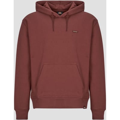 Dickies  Capuchon sweaters CLANCY BB HOODIE ANDORRA