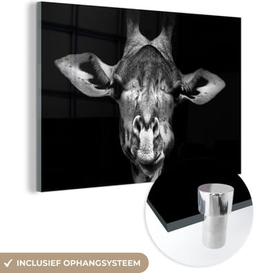 Glasschilderij - Foto op glas - Wilde dieren - Giraffe - Zwart - Wit - 150x100 cm - Acrylglas - Wanddecoratie glas - Glasschilderij giraffe - Woondecoratie - Glasschilderij dieren