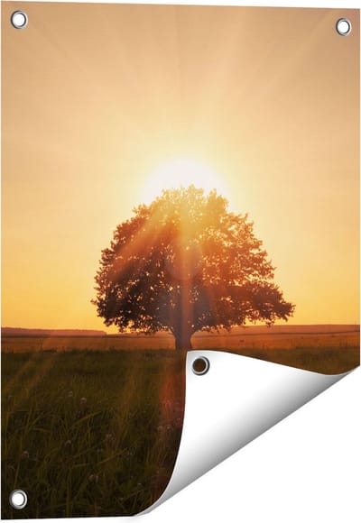 Gards Tuinposter Zonsondergang Achter een Grote Boom - 40x50 cm - Tuindoek - Tuindecoratie - Wanddecoratie buiten - Tuinschilderij