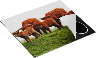 Chefcare Inductie Beschermer Schotse Hooglander Familie - 60x50 cm - Afdekplaat Inductie - Kookplaat Beschermer - Inductie Mat