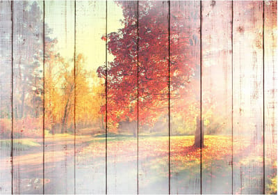 Fotobehangkoning - Behang - Vliesbehang - Fotobehang Herfstzon - Herfstbos op Houten Planken - Autumn Sun - 150 x 105 cm