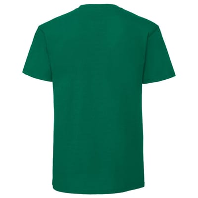 Fruit of the Loom Unisex volwassen iconisch 195 T-shirt (College Groen)