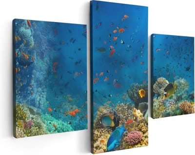 Artaza Canvas Schilderij Drieluik Onderwater Vissen Met Koraal In De Zee - 90x60 - Foto Op Canvas - Canvas Print