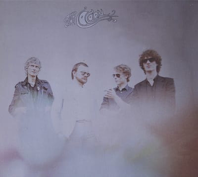 The Cocoon - While The Recording Engineer Sleeps (CD)