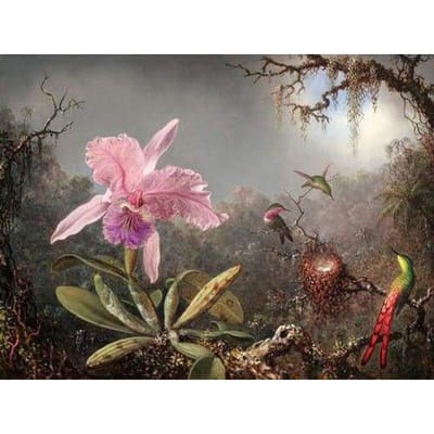 Peinture de broderie diamant, Kit de peinture artisanale, orchidées et colibri 20X30CM gray