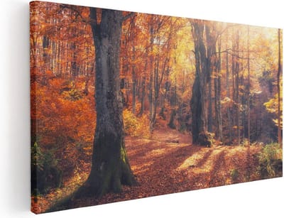 Artaza Canvas Schilderij Herfstbos - 40x20 cm - Klein - Wanddecoratie Bos - Muurdecoratie Bomen - Schilderijen Op Canvas Landschap
