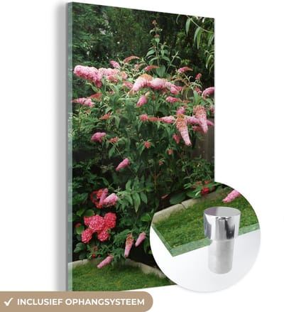 ® Glasschilderij 120x180 cm - Schilderij acrylglas - Roze vlinderstruik in een tuin - Foto op glas - Muurdecoratie woonkamer - Wanddecoratie slaapkamer - Schilderijen