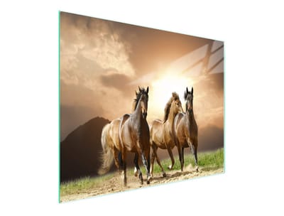 TMK ArtDeko - Snijplank Glas - 52x30 cm - Motief Konie - UV-gedrukt - Antislip