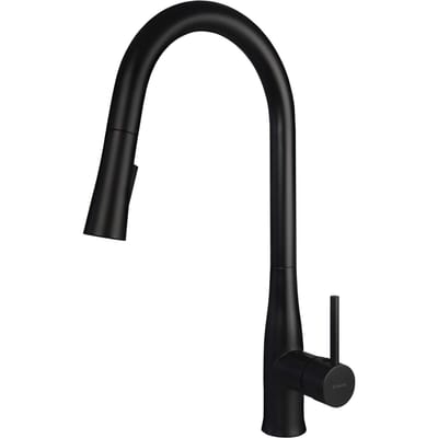 Kitchen faucet with pull-out spout