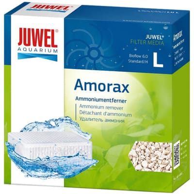 Juwel amorax L