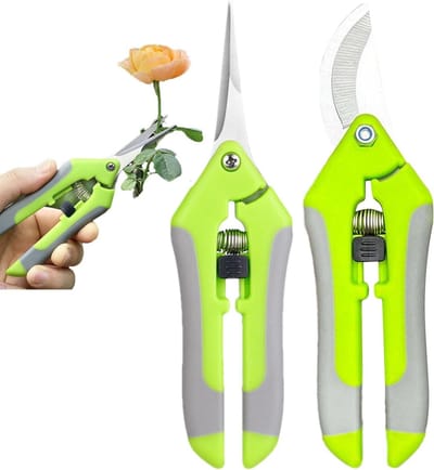 Tuinschaar Set - Plantenknipper - Snoeien en Vormgeven - Roestvrij Staal - 167 cm - Fruitgroen