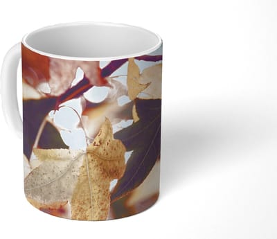 Mok - Koffiemok - Bladeren - Esdoorn - Herfst - Seizoenen - Mokken - 350 ML - Beker - Koffiemokken - Theemok