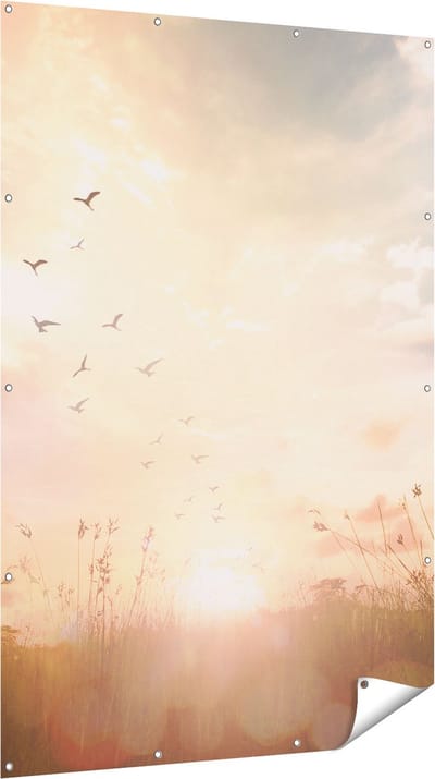 Gards Tuinposter Silhouet Vogels tijdens Zonsopkomst - 120x180 cm - Tuindoek - Tuindecoratie - Wanddecoratie buiten - Tuinschilderij