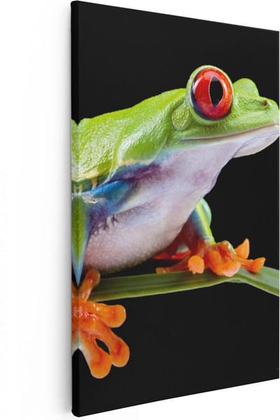 Artaza Canvas Schilderij Dieren - 20x30 cm - Klein - Wanddecoratie Kikker - Muurdecoratie Jungle - Kamer Accessoires