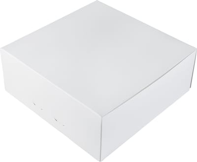 BrandNewCake® Taartdoos - 25x25x10 cm - Taartdoos Karton - Cakedoos - 3 Stuks - Wit