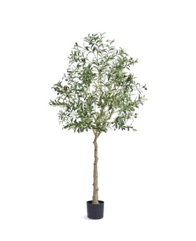 Mila Shop Kunstmatige olijfboom - Kunstplant - Mediterrane kunstplant met realistische bladeren en olijven - Onderhoudsvriendelijk en veelzijdig - 81x179cm