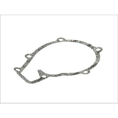 Pakking, waterpomp DT Spare Parts 3.16102