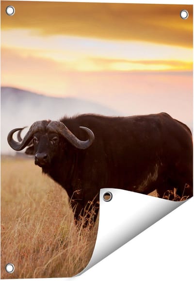 Gards Tuinposter Buffel in het Gras - 40x50 cm - Tuindoek - Tuindecoratie - Wanddecoratie buiten - Tuinschilderij