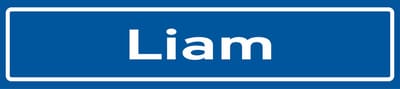 Fotofabriek Straatnaambord Liam | Straatnaambord met naam | Cadeau Liam