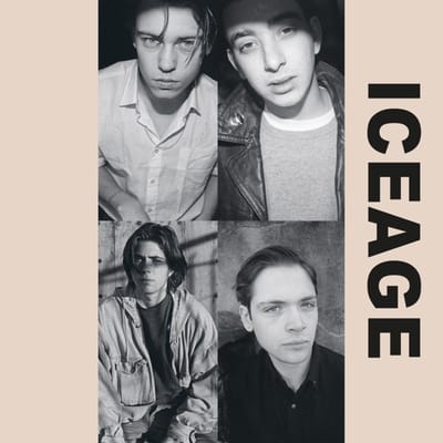 Iceage - Shake The Feeling: Outtakes & Rarities 2015-2021 (LP) (Limited Edition)