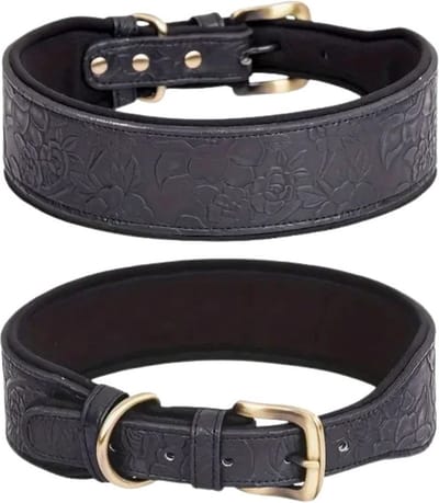 Honden halsband Leer - Luxe Honden Halsband Leer - Zwart maat M - Zwarte halsband hond leer - Petshop Seven®