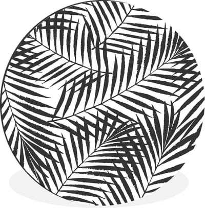 WallCircle - Wandcirkel - Muurcirkel - Palmbladeren - Zwart - wit - Patroon - Meisjes - Kinderen - Jongens - Aluminium - Dibond - 60x60 cm - Binnen en Buiten
