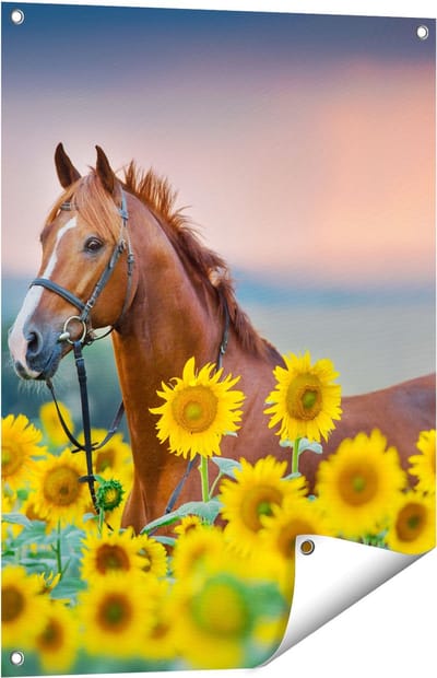 Gards Tuinposter Bruin Paard tussen de Zonnebloemen - 60x80 cm - Tuindoek - Tuindecoratie - Wanddecoratie buiten - Tuinschilderij