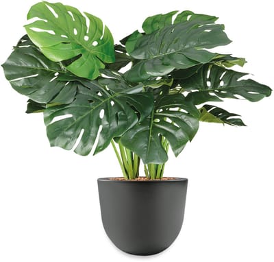 HTT - Kunstplant Monstera in Eggy antraciet H70 cm