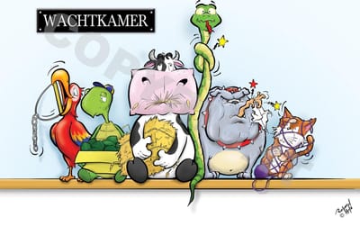 POSTER Cartoon - Dierenarts - Wachtkamer - 42 x 59,4 cm (A2) door Roland Hols