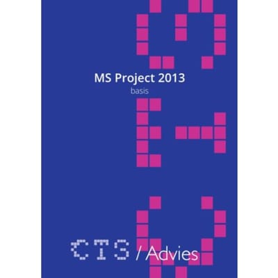 Ms Project 2010-2013 Basis - Charles Scheublin