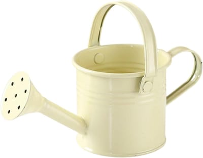 Kleine Gieter - Mini Waterkan - Planten Water Geven - Roestvrij Metaal - 7 x 12 cm - Beige