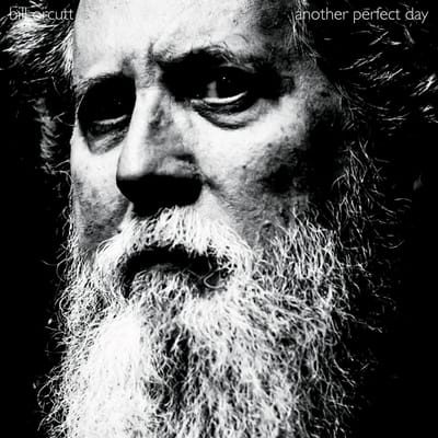 Bill Orcutt - Another Perfect Day (CD)