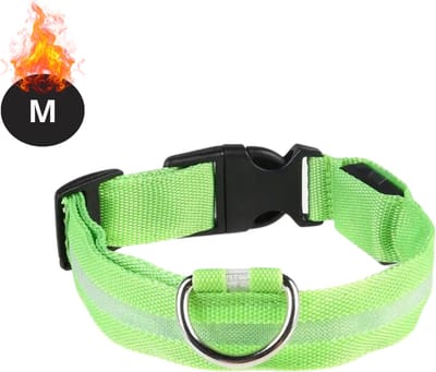 Bovista Lichtgevende Halsband - Verlichte Halsband - Lichtgevend - Hond - Kat - Lampje - Hondenhalsband Led - Groen - M