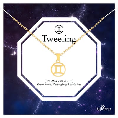 Bixorp Stars Sterrenbeeld Ketting Tweeling / Gemini - Stainless Steel Rondje met Goud Verguld - 45cm Ketting met Zodiac Hanger - Inclusief Cadeau Verpakking