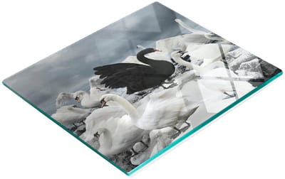 Glazen serveerplank met afbeelding van een zwarte zwaan, 60x52 cm