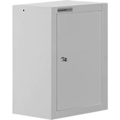 Schäfer Shop Select wandkast, enkeldeurs, met tussenplank, B 400 x D 320 x H 600 mm, staal, lichtgrijs/lichtgrijs