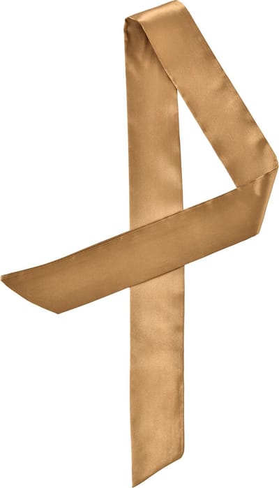 Emilie Scarves - sjaal - satijn - haarsjaal - lint handtas - cognac brons