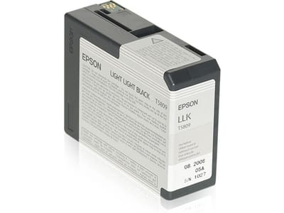 Epson Inktcartridge T580 (C13T580900) Licht licht-zwart