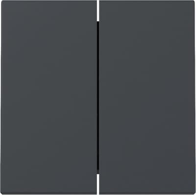 GIRA Systeem 55 Bedieningswip serie/wissel-wissel Antraciet 329528 (nieuw model)