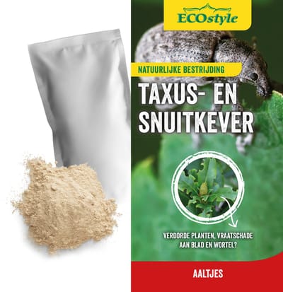 ECOstyle Aaltjes tegen Taxuskevers (Val) - Bestrijdingsmiddel - Natuurlijk & Biologisch - Tegen Bladschade - Toepasbaar van April t/m Oktober - Werken 24 uur per Dag - 1 Stuk