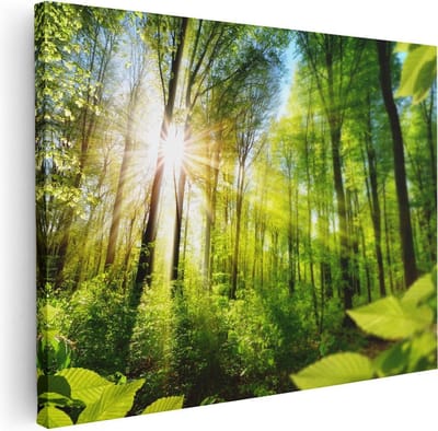 Artaza Canvas Schilderij Zon In Bos - 40x30 cm - Klein - Wanddecoratie Bomen - Muurdecoratie Landschap - Kamer Accessoires