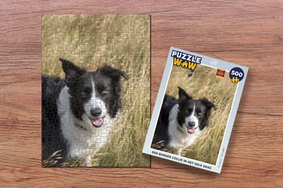 Puzzel Een border collie in het gele gras - Legpuzzel - Puzzel 500 stukjes