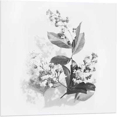 Acrylglas –Bloemenveld aan het Water– 80x120cm Foto op (Wanddecoratie op Acrylglas)