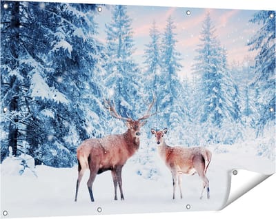 Gards Tuinposter Twee Herten in het Bos met Sneeuw - 120x80 cm - Tuindoek - Tuindecoratie - Wanddecoratie buiten - Tuinschilderij