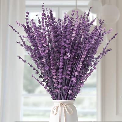 Gedroogde Paarse Lavendel Bloemen Bundel - Natuurlijk Boeket voor Decoratie en Scent