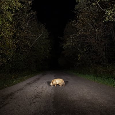 Stonks - Badger (CD)