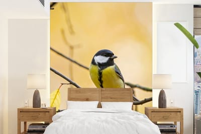 Behang - Fotobehang Koolmees - Tak - Vogel - Dieren - Breedte 160 cm x hoogte 220 cm