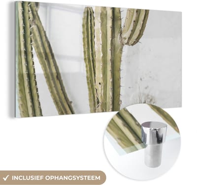 MuchoWow® Glasschilderij 120x60 cm - Schilderij acrylglas - Cactus - Zomer - Planten - Foto op glas - Schilderijen