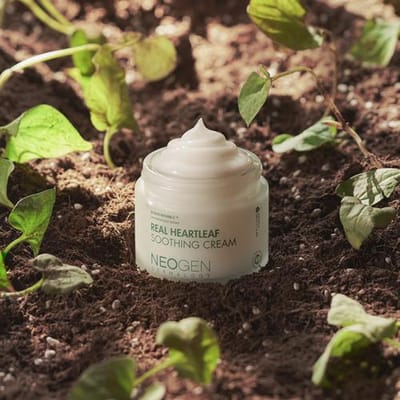 NEOGEN Crème Apaisante Real Heartleaf 80g brown